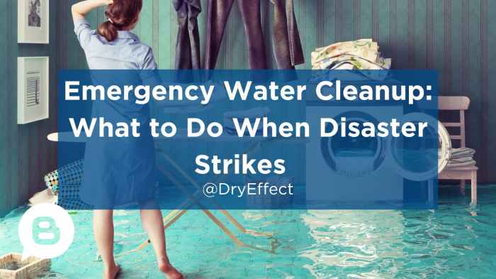 SOS! Emergency Water Cleanup Services to Salvage Your Home