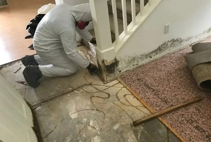 What Are the Three Types of Water Damage? - Restoration Companies Near Me