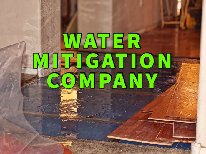 Choosing the Right Water Mitigation Company: Factors to Consider ...
